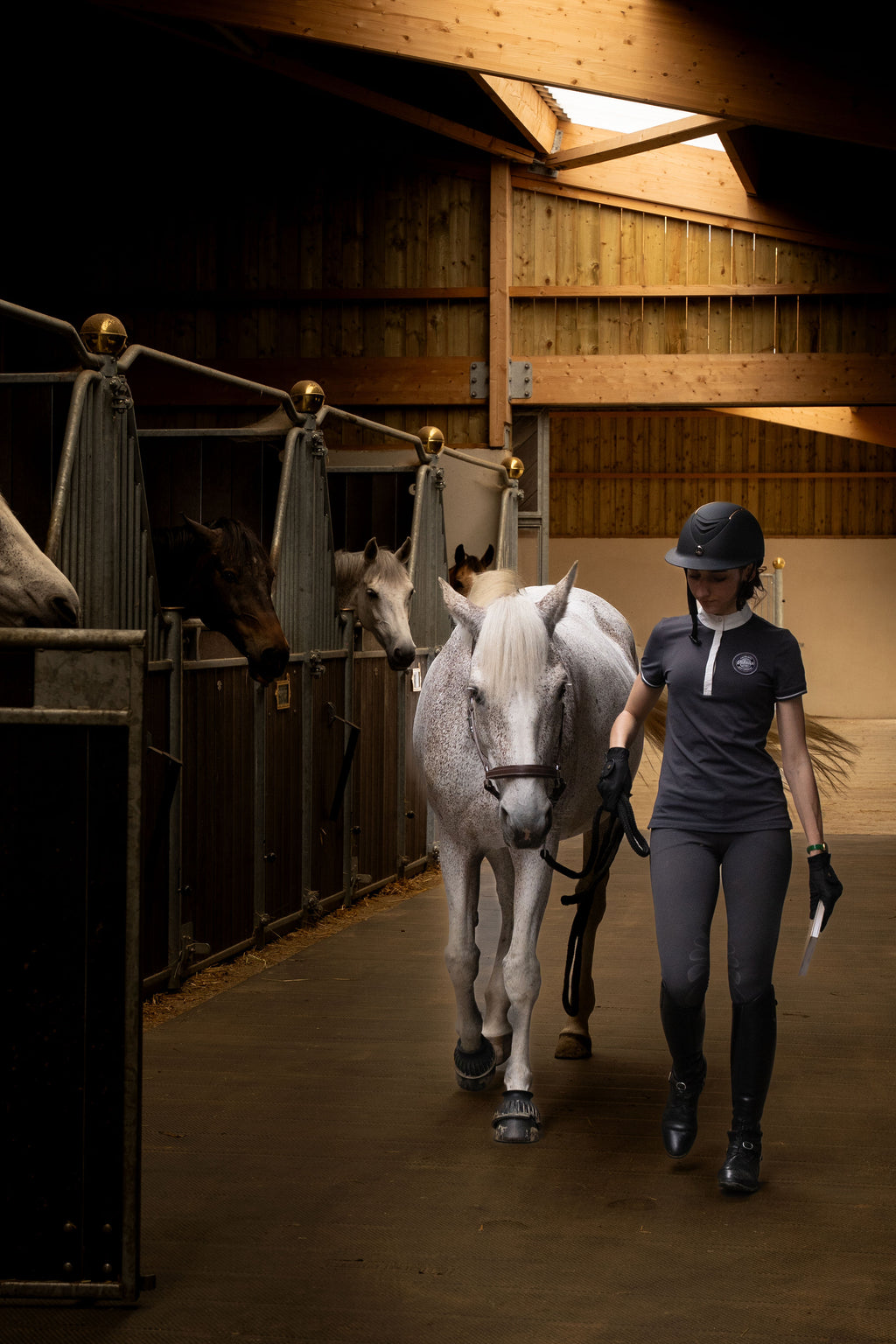 Ton carnet de progression et d'introspection équestre
