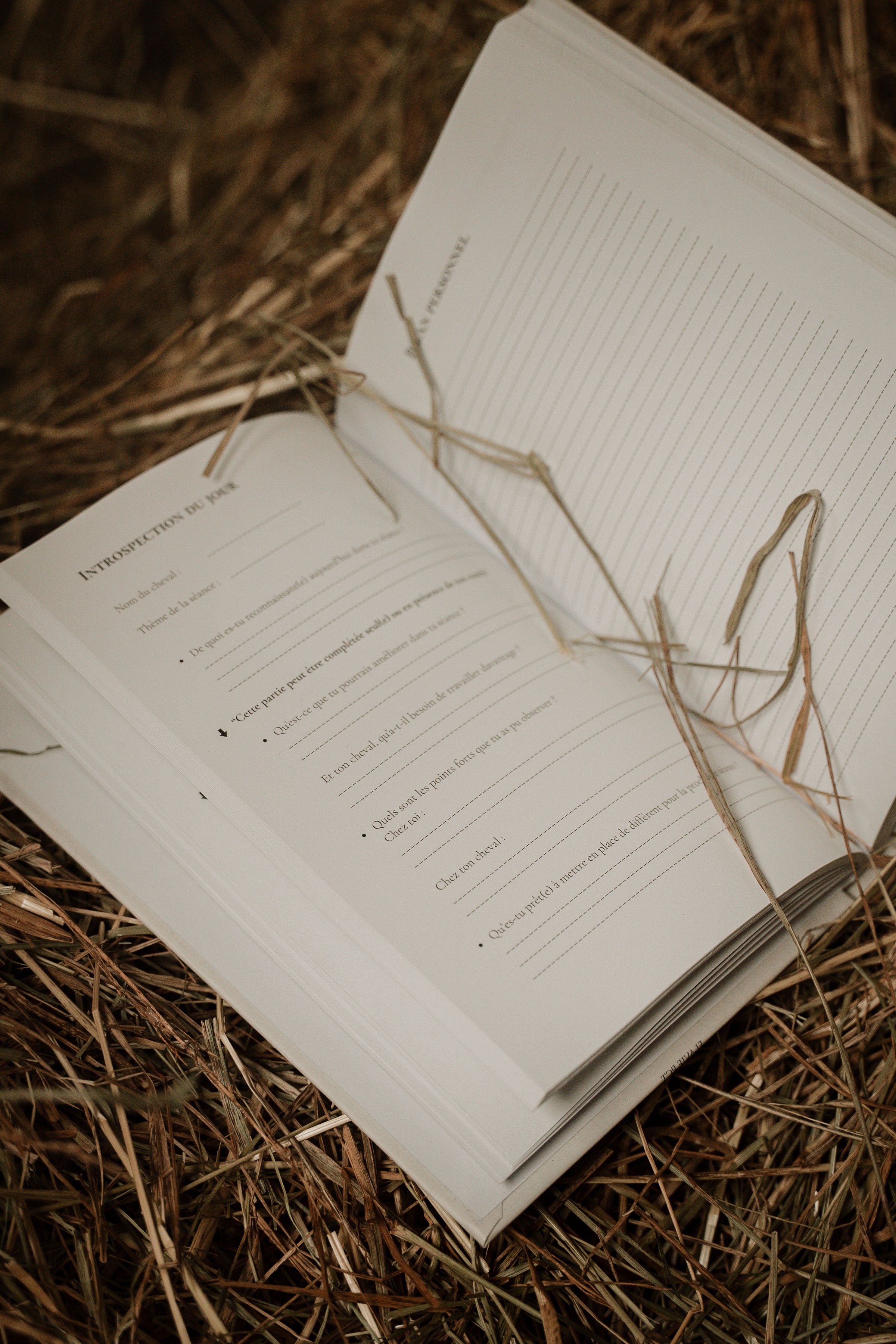 Ton carnet de progression et d'introspection équestre