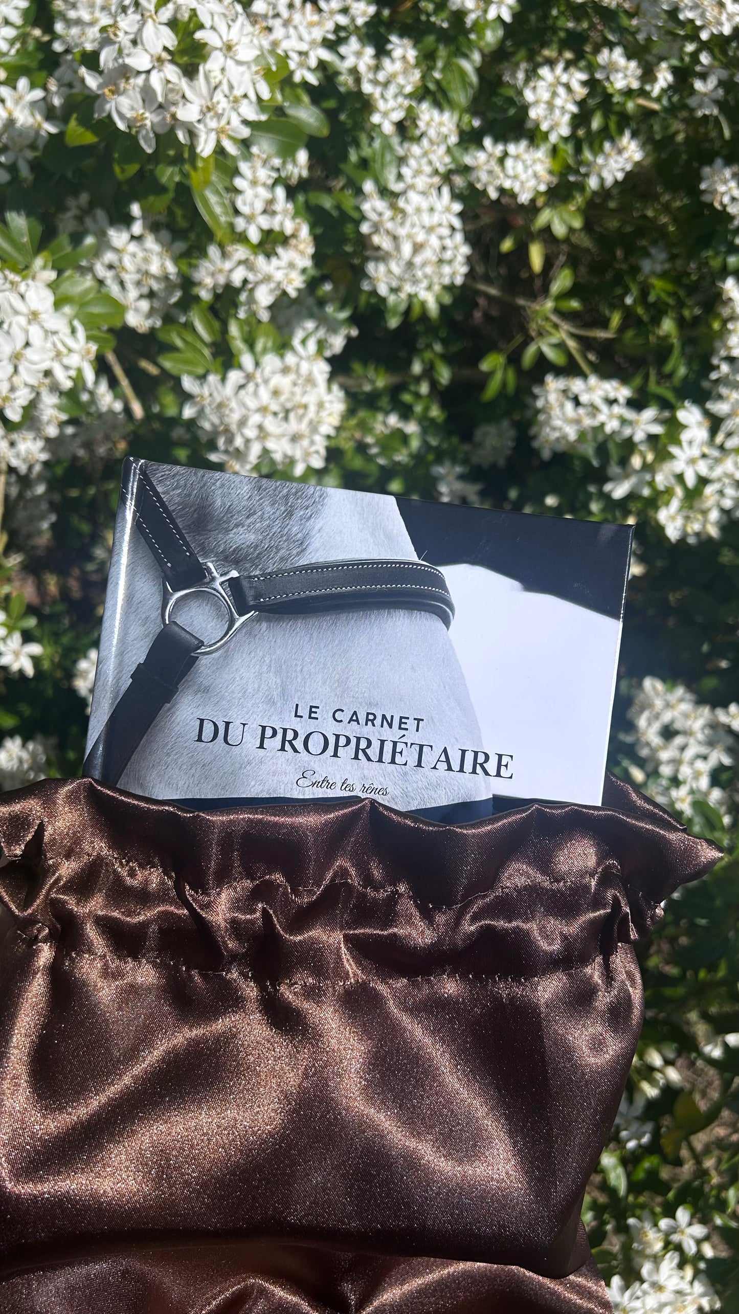 Le carnet du propriétaire