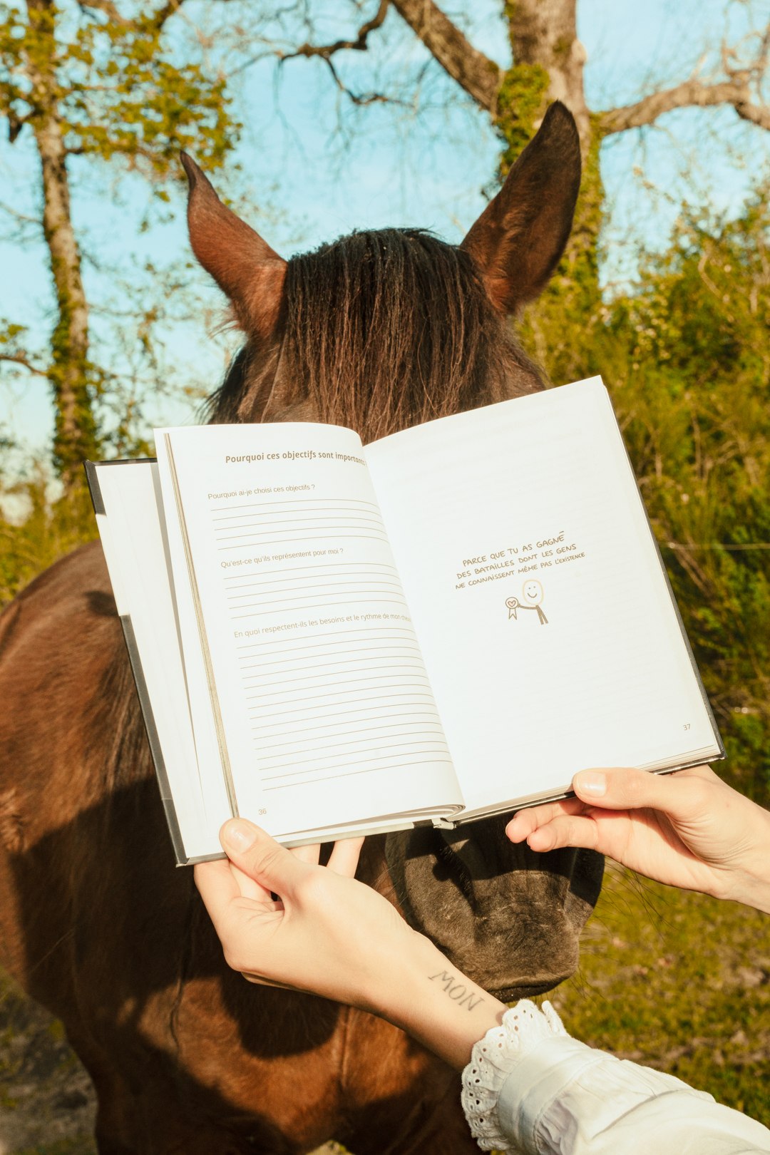 Le carnet du propriétaire