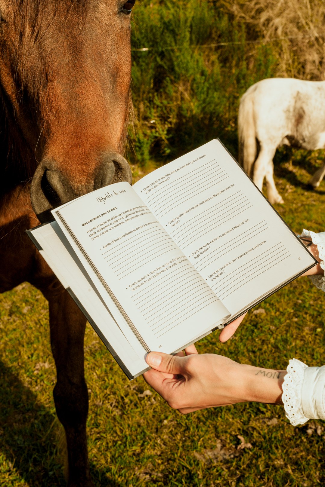 Le carnet du propriétaire